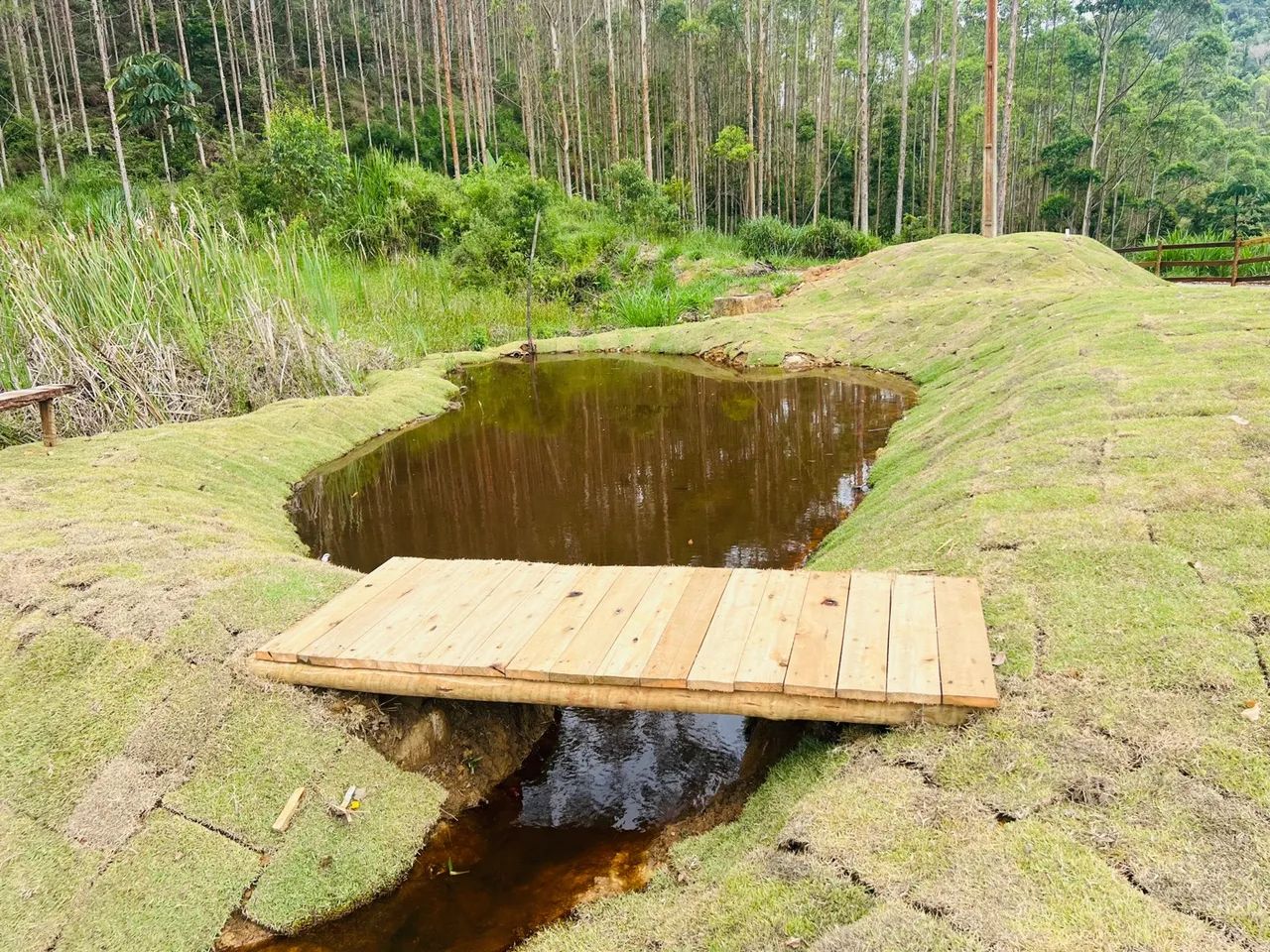Linda Chácara com lago em Santa Teresa a 5 km do centro  - Foto 3