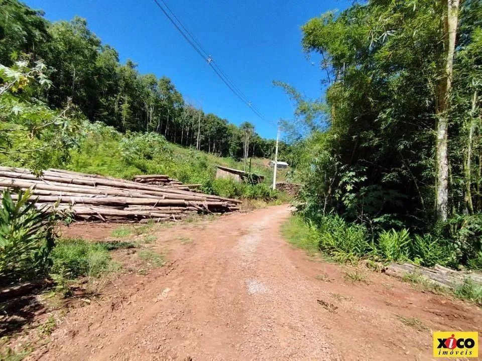 Sítio / Chácara para Venda em Nova Petrópolis, Linha Olinda - Foto 5