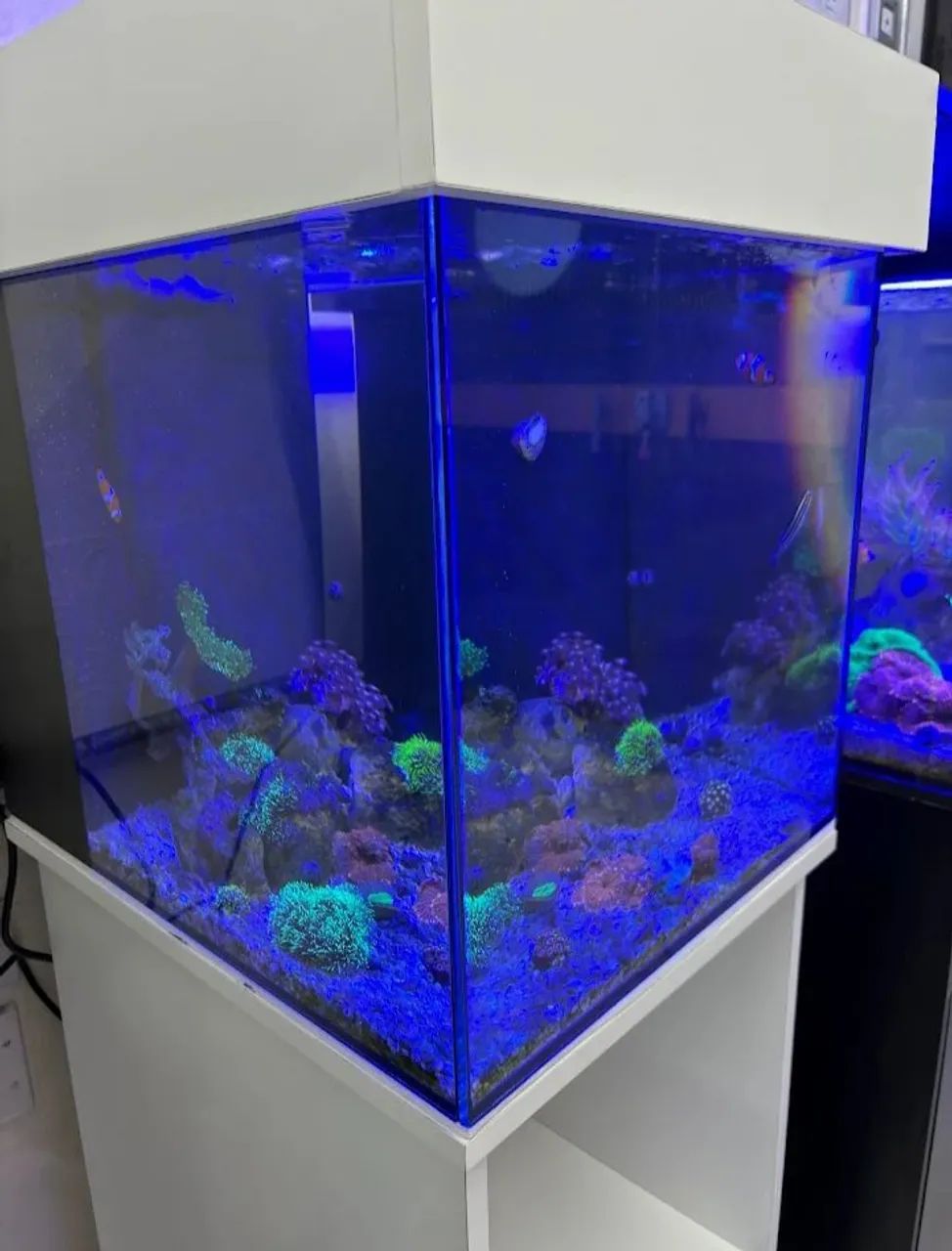 Aquário marinho com móvel 