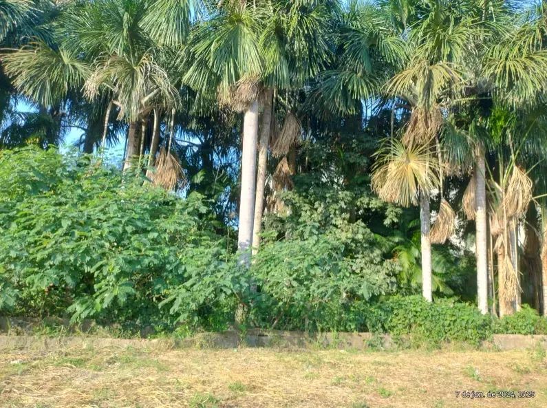 Vende-se terreno na Torquato Tapajós