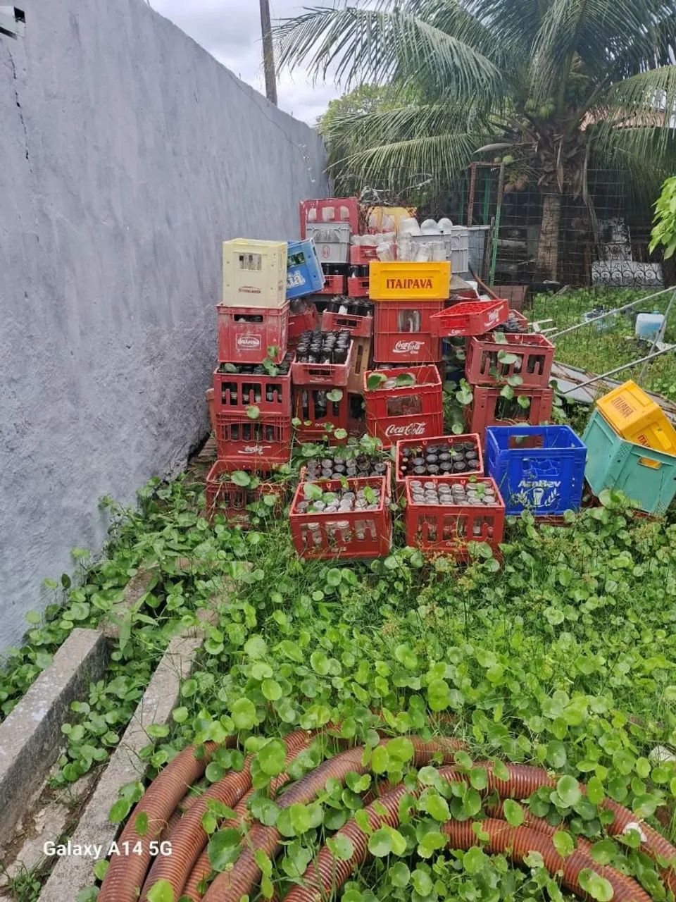 Caixas de bebidas usadas fortaleza ceara
