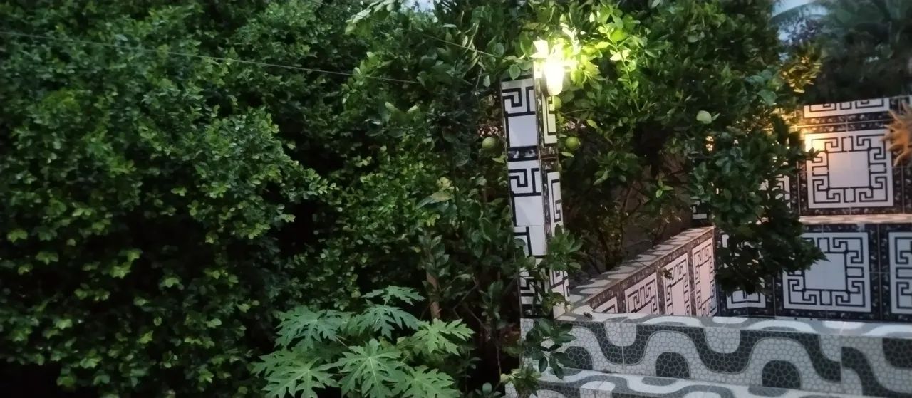 vende-se sítio em coração de Maria com pcina - Foto 3