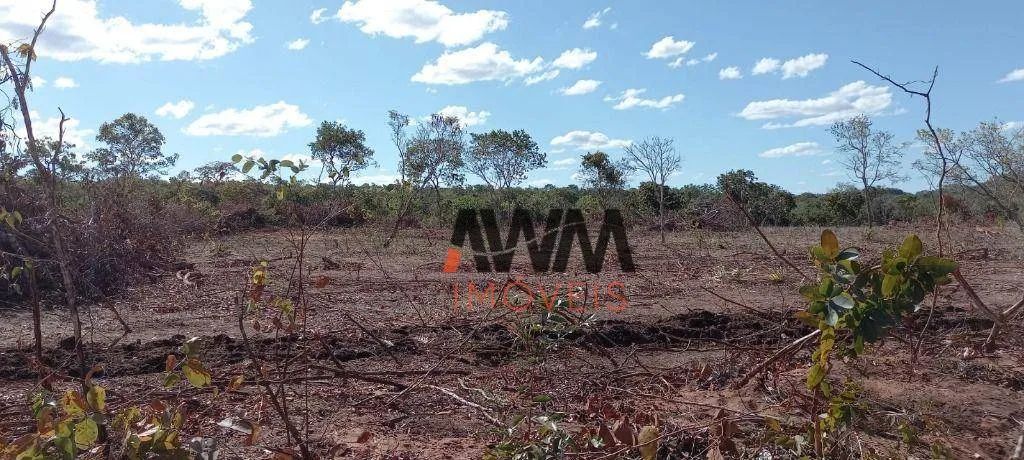 Fazenda à venda, 116644000 m² por R$ 53.020.000,00 - Rural - Lizarda/TO - Foto 5