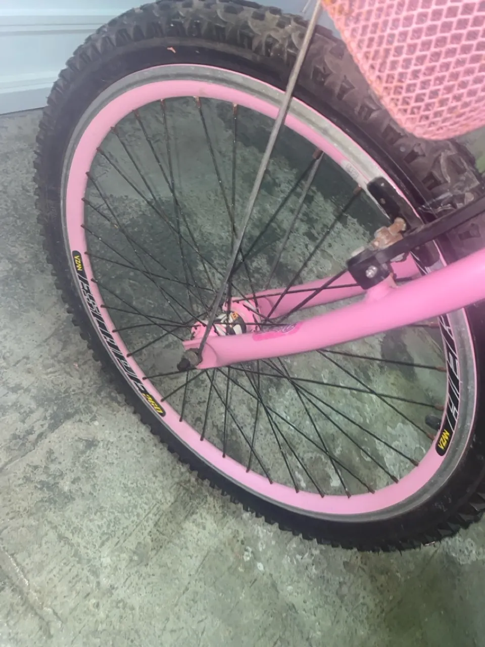 Bicicleta