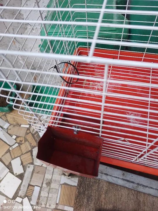  Vende se Gaiola para Roedores - Foto 2