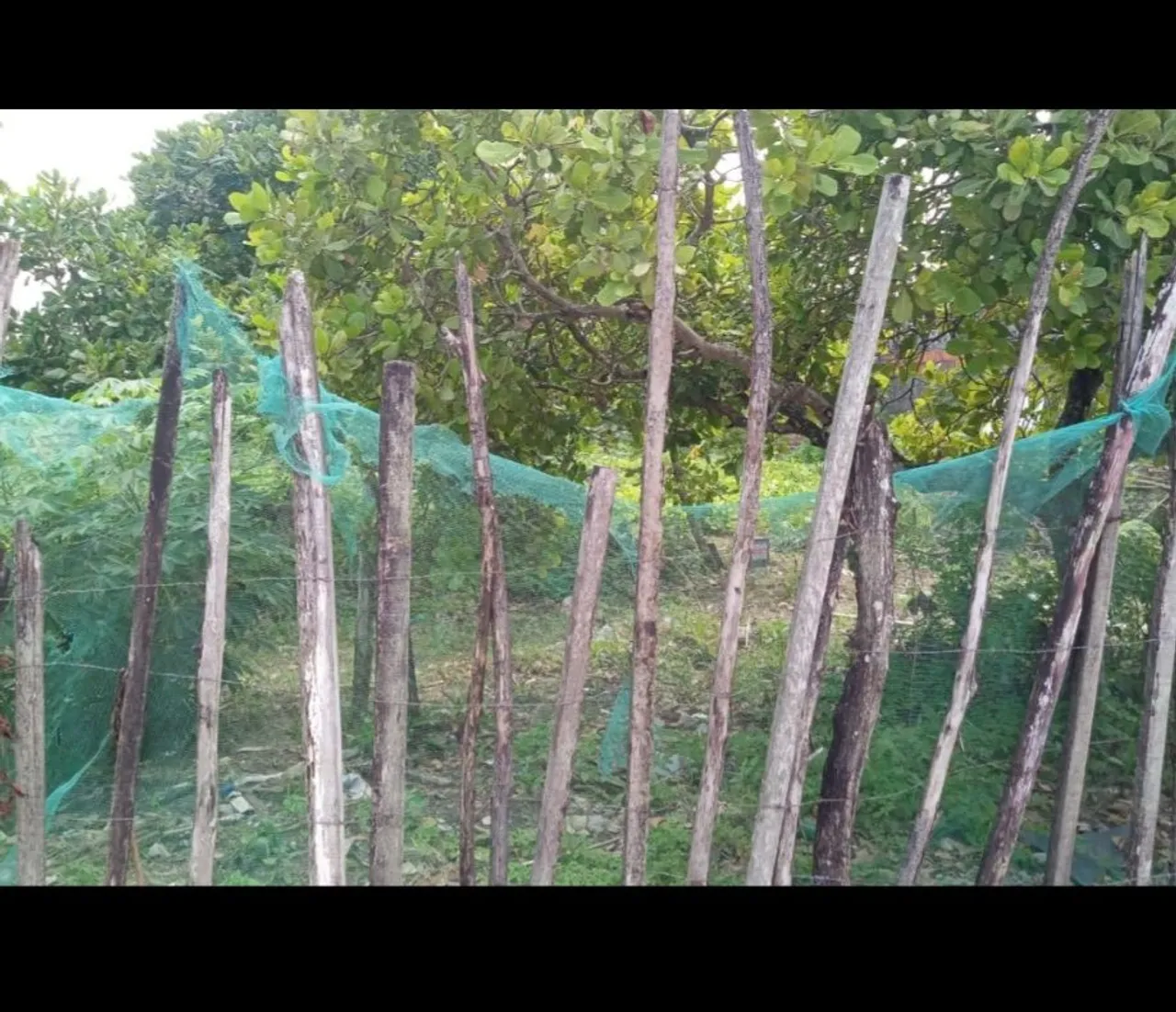 Terreno no bairro das indústrias 15×50