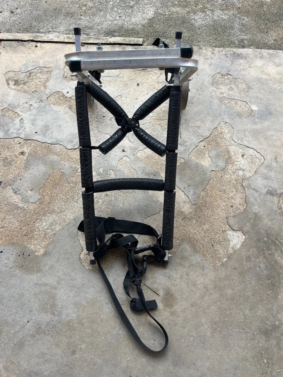  Cadeira para cães com problemas de mobilidade