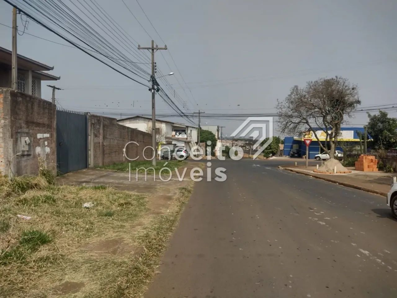 Terreno - Parque dos Pinheiros - Cará-Cará - Foto 3
