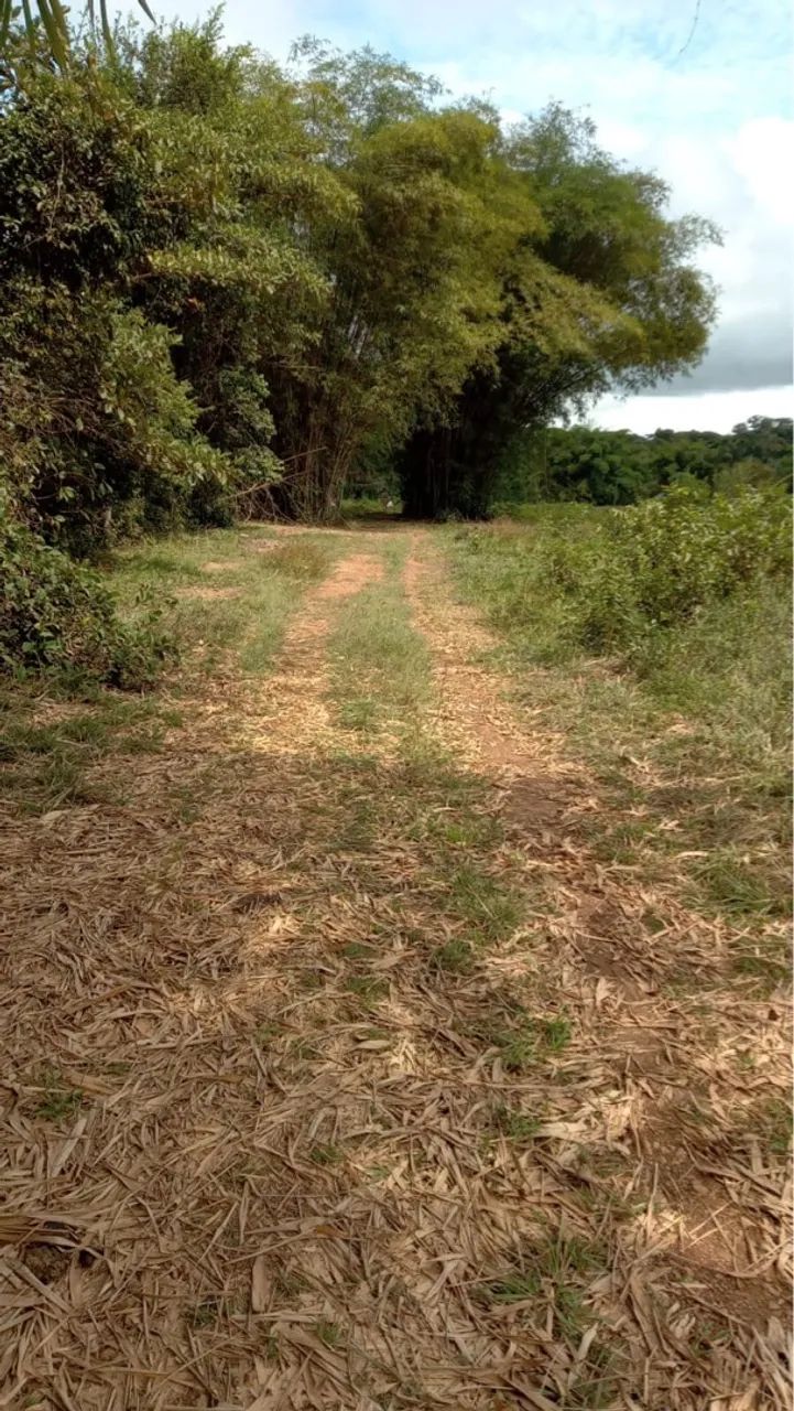 Vendo pouco mais de 29 hectares de terra - Foto 5