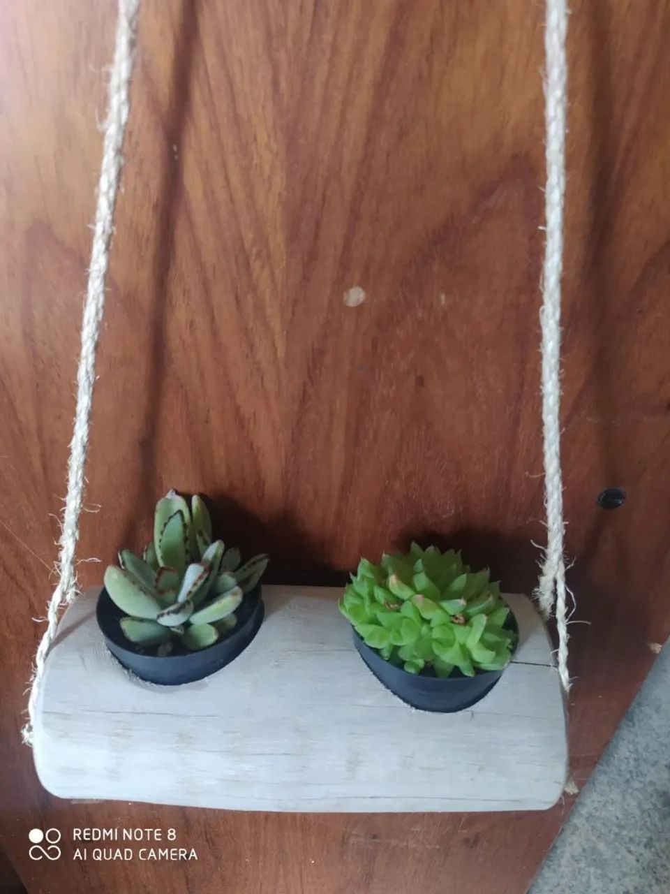 Vasos suculentas 64985890636673121