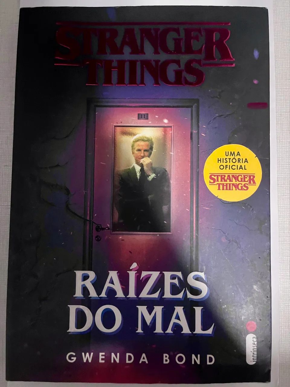 Livro Stranger Things 