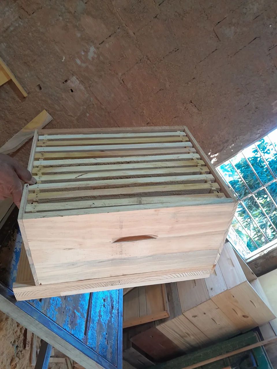 Apicultura  - Foto 5