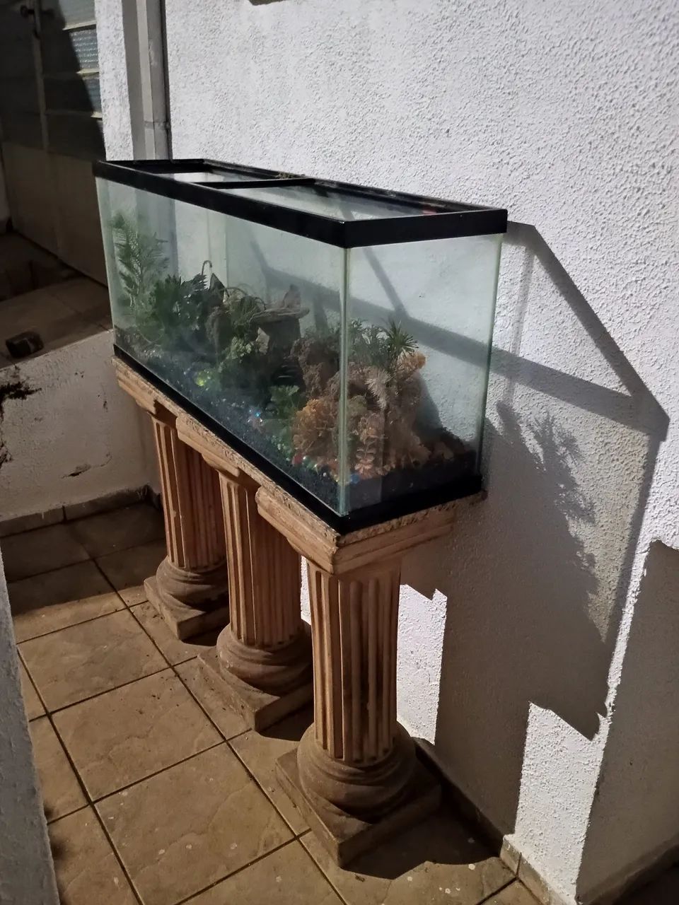 Aquário 