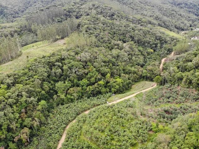 6,9 hectares  - Foto 2