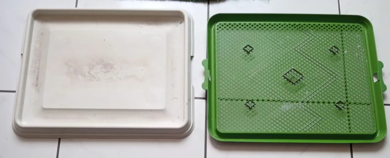 Kit sanitário para pets com grama sintética