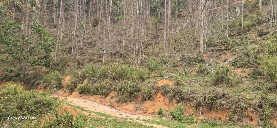 BLACK Sítio Área com rio-2.000m² por apenas R$ 50 mil*- Domingos Martins, troco aceito - Foto 4