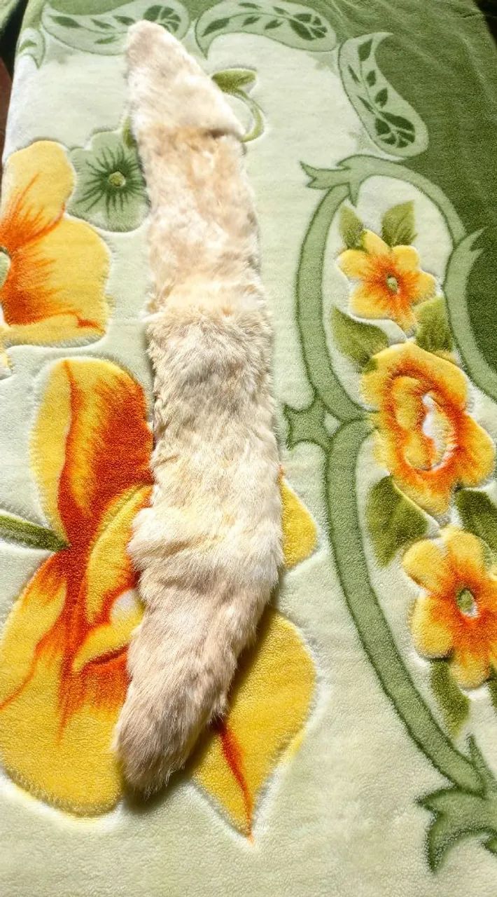 Estola de pele - Foto 2