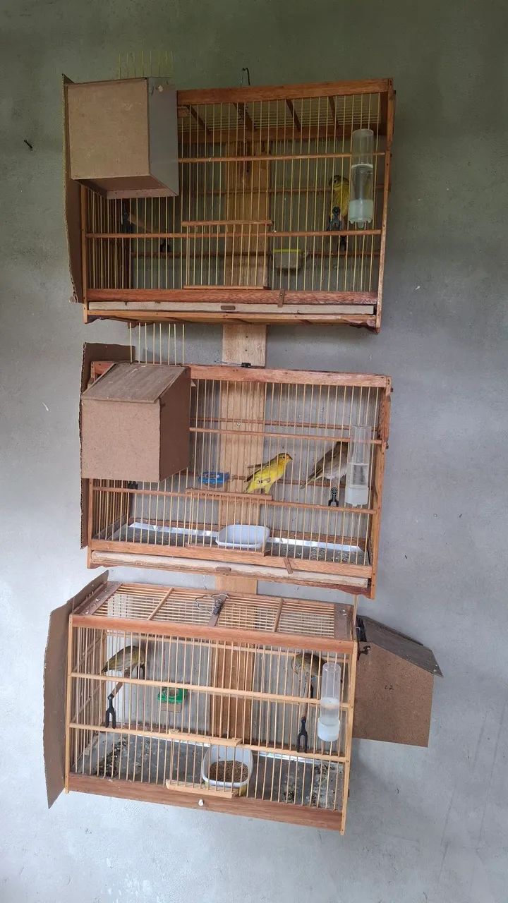 Cages 64313863752066120