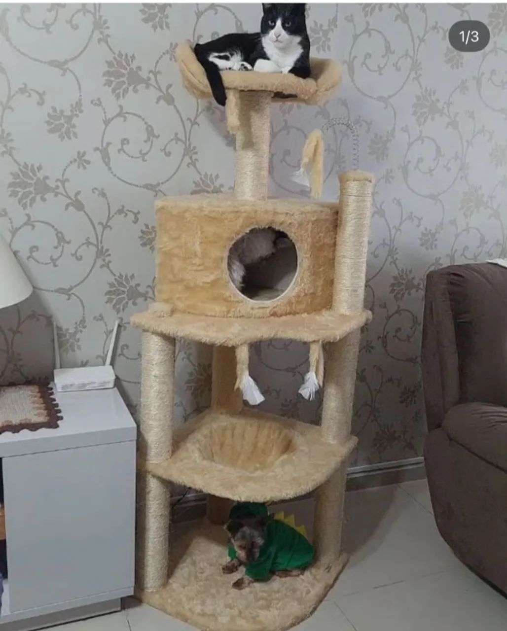 ARRANHADORES PERSONALIZADOS EM GATOS - Foto 2