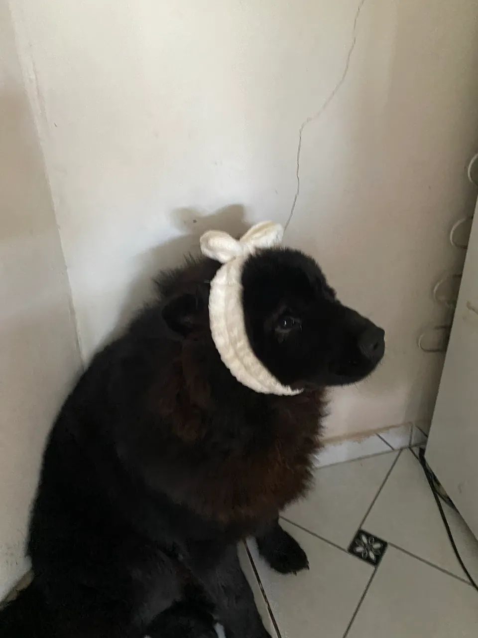 Doação 