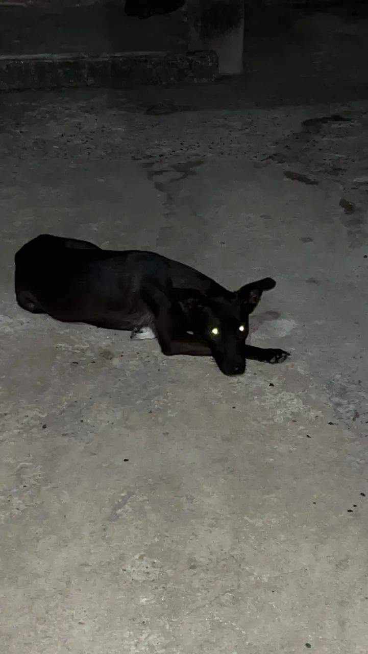 Doação 