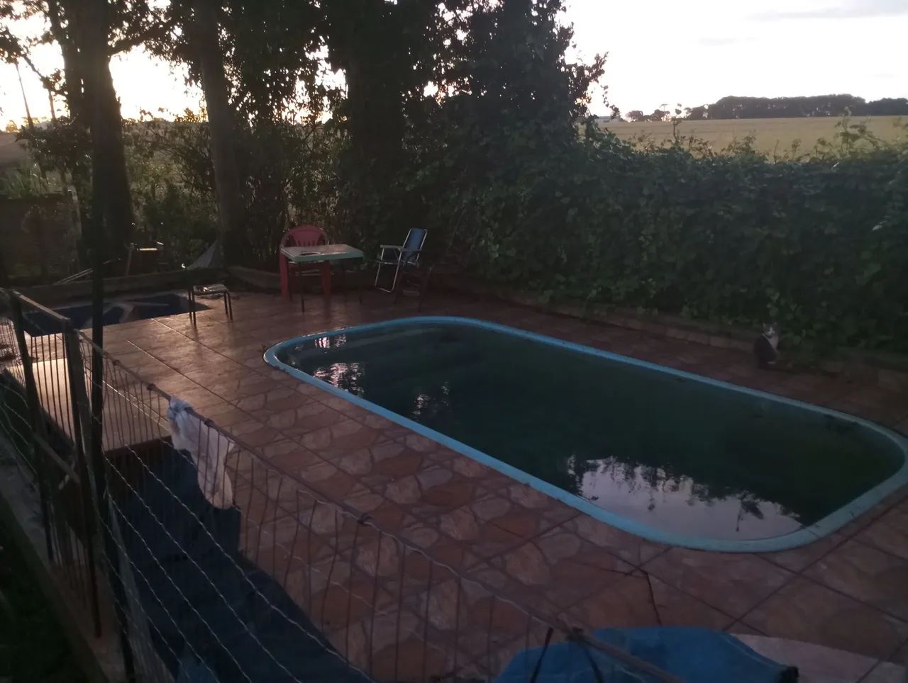 Chácara de 1500m² - Foto 4