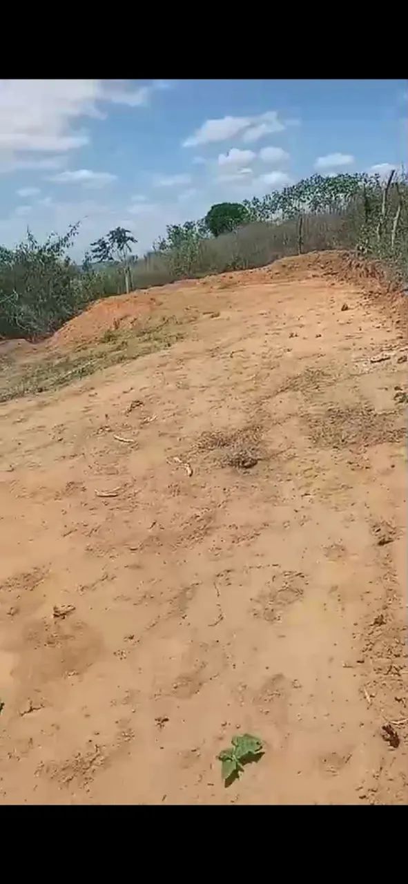 Terreno 