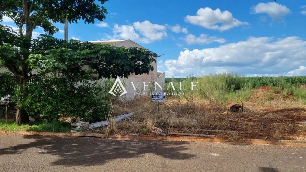 Terreno à venda em Floresta, Centro, com 174.66 m² - Foto 3