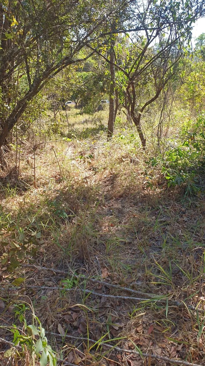 Chacaras em Pirenópolis 20.000 m² - Foto 2