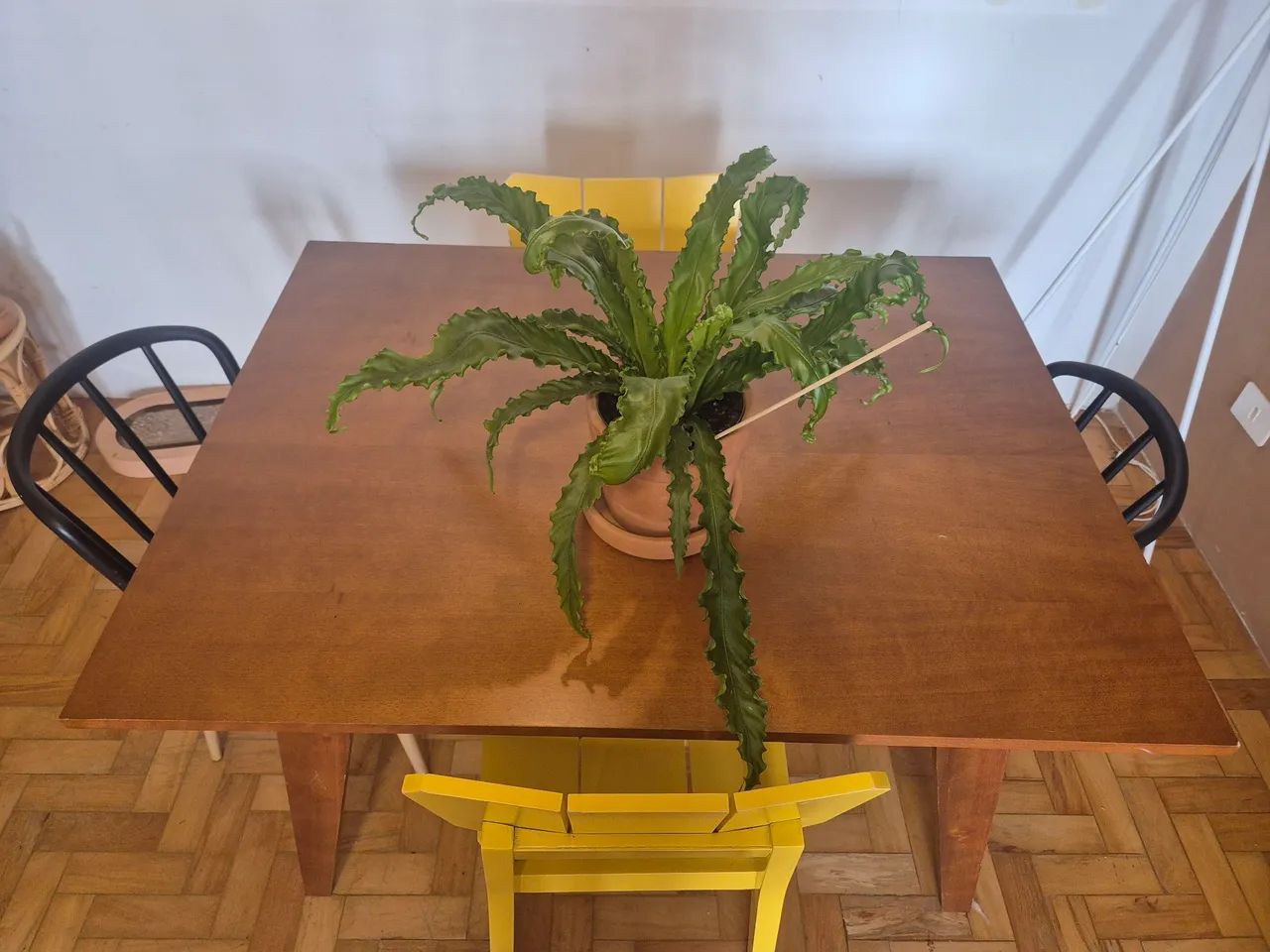 Mesa de 4 lugares