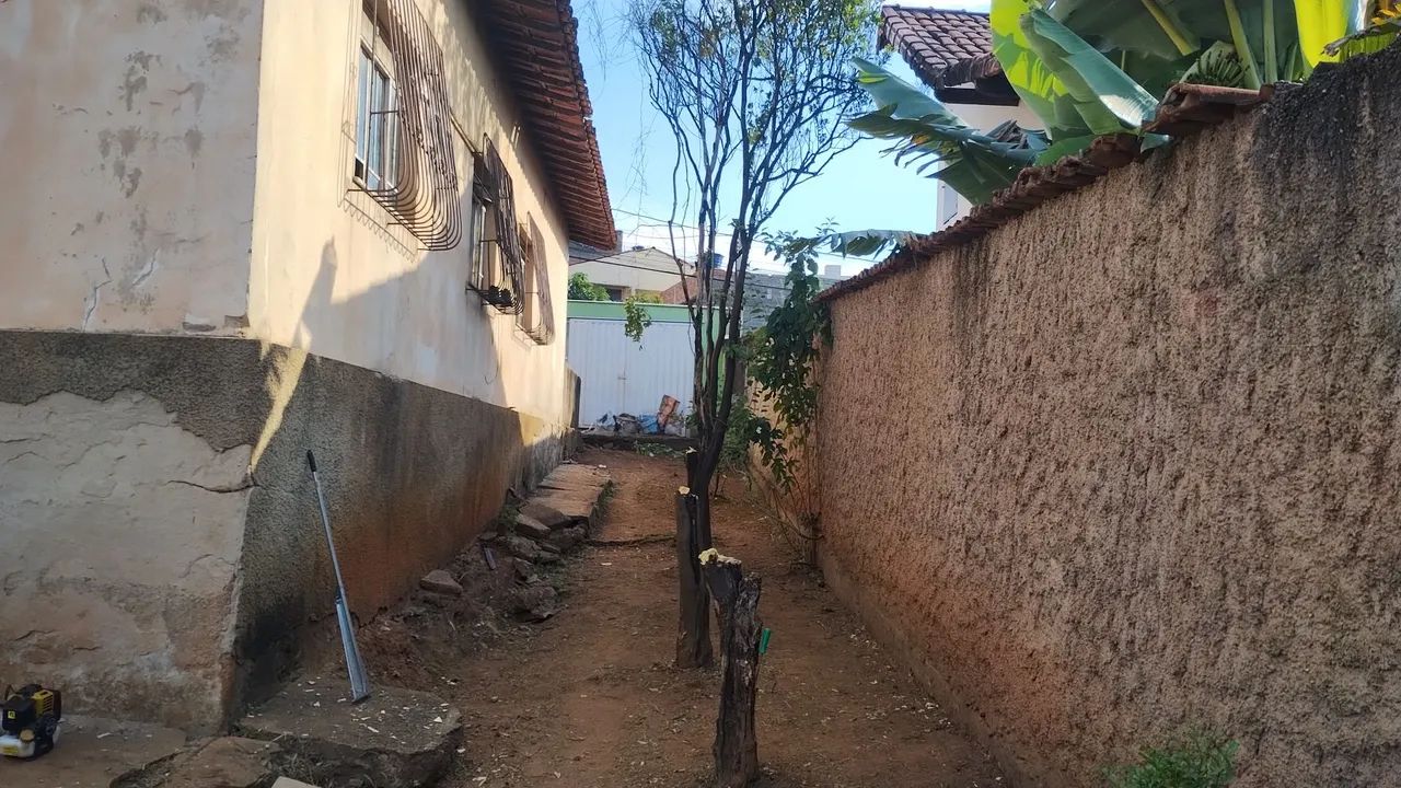 Limpeza de lotes  - Foto 4