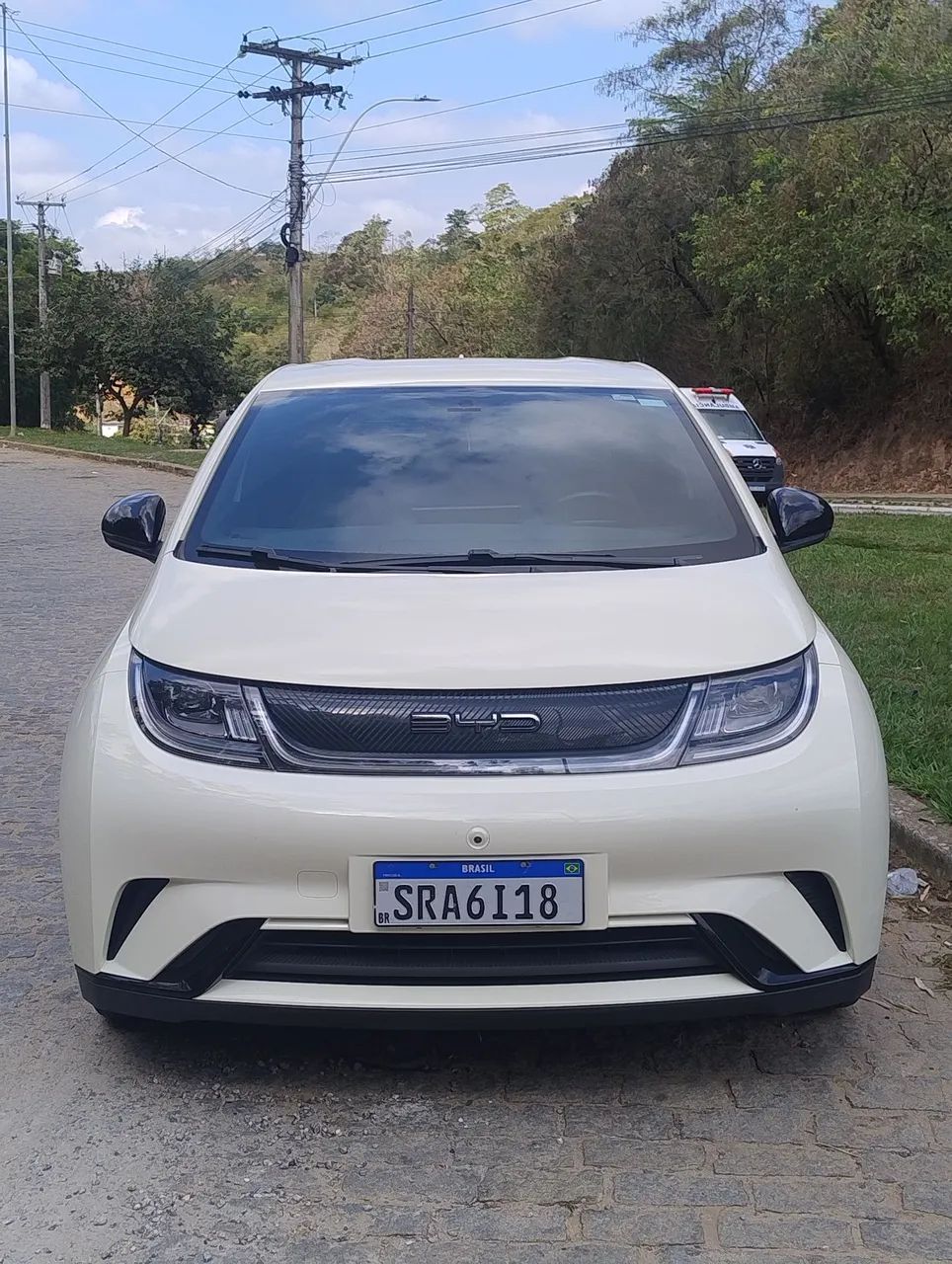 BYD Dolphin 2024