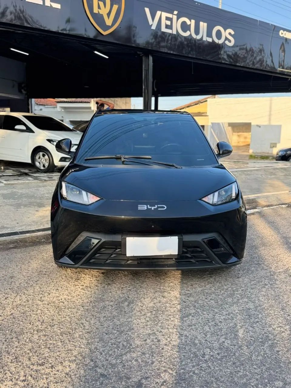 BYD Dolphin Mini (Elétrico) 2025