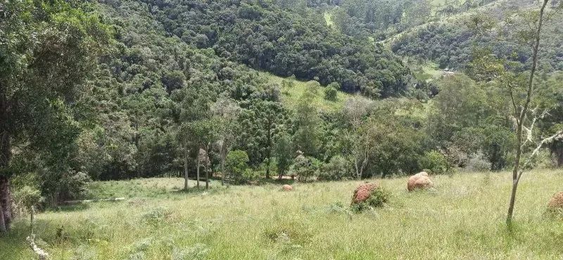 SÍTIO NA ESTRADA DO PARAIBUNA EM CUNHA-SP - Foto 4