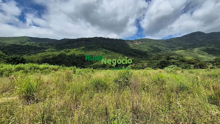 TERRENO PLANO PARA FORMAR CHÁCARA EM PINDAMONHANGABA-SP - Foto 3