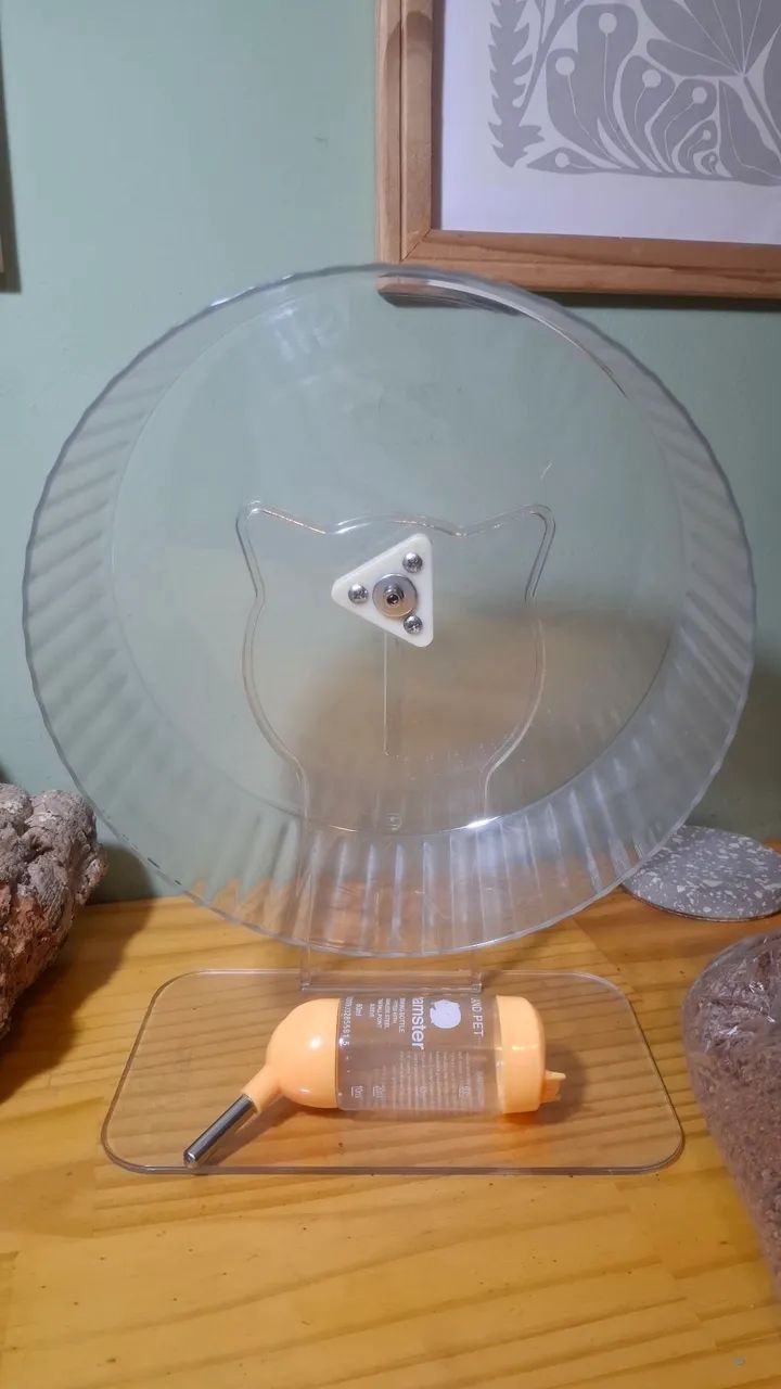 Kit para hamster 