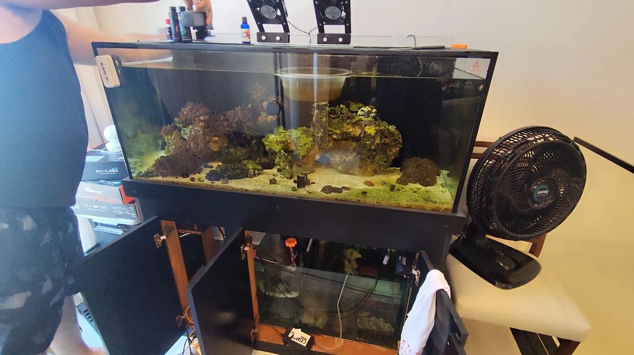 Aquário marinho  - Foto 3