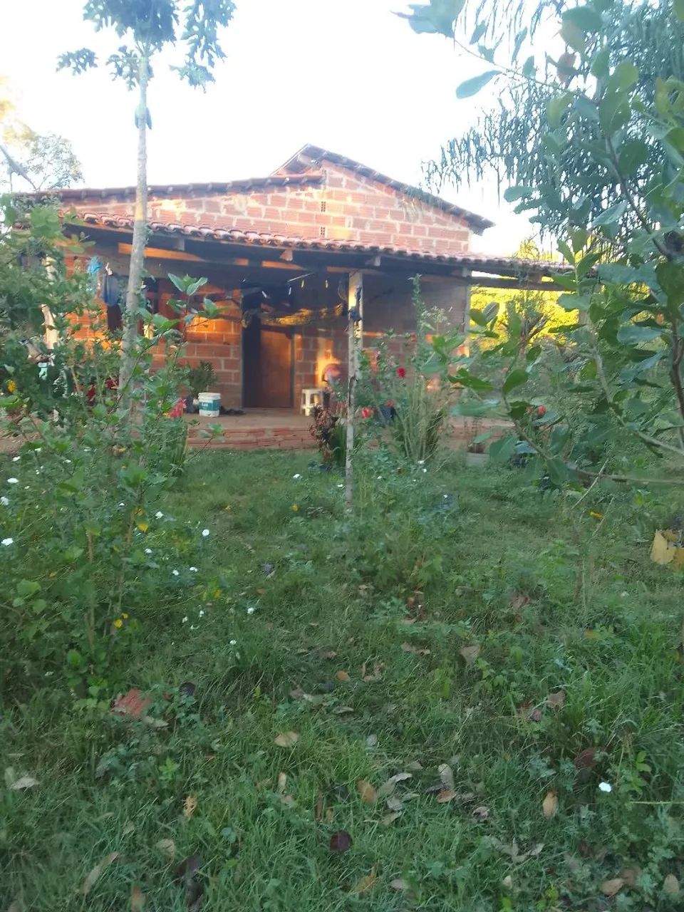 Chácara  - Foto 3