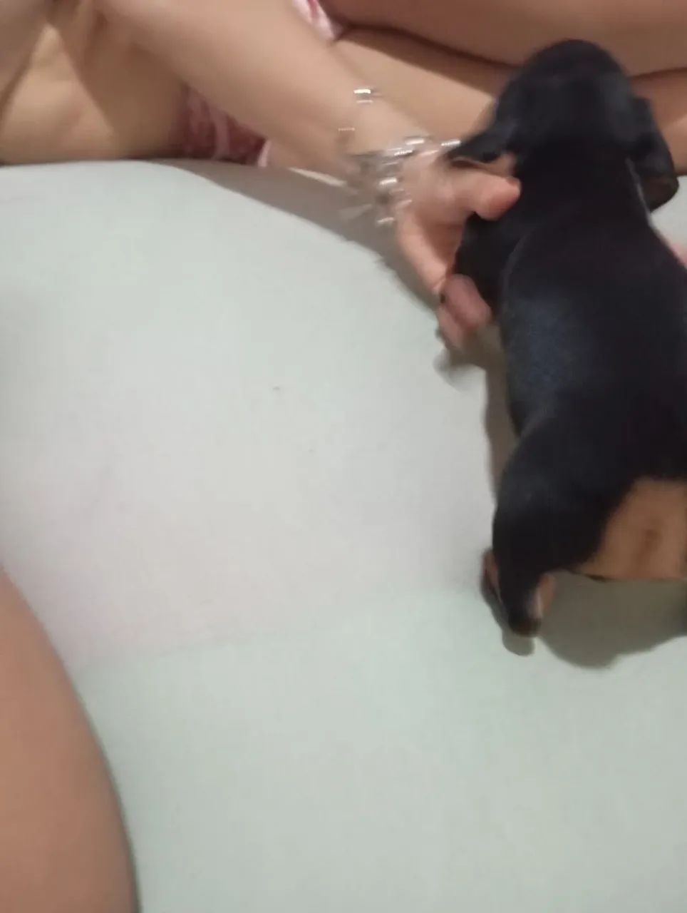 Cachorro ? - Foto 3
