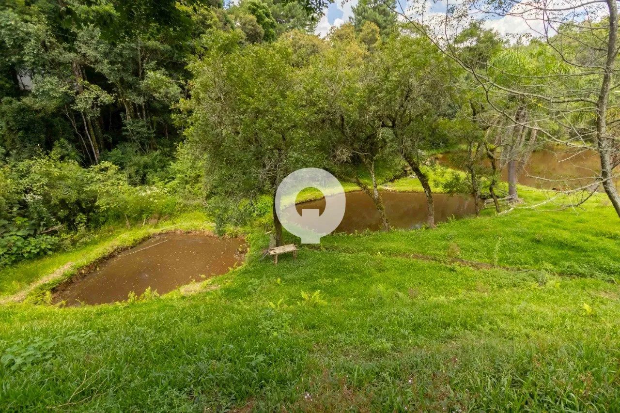 CHÁCARA À VENDA EM MANDIRITUBA - Foto 4