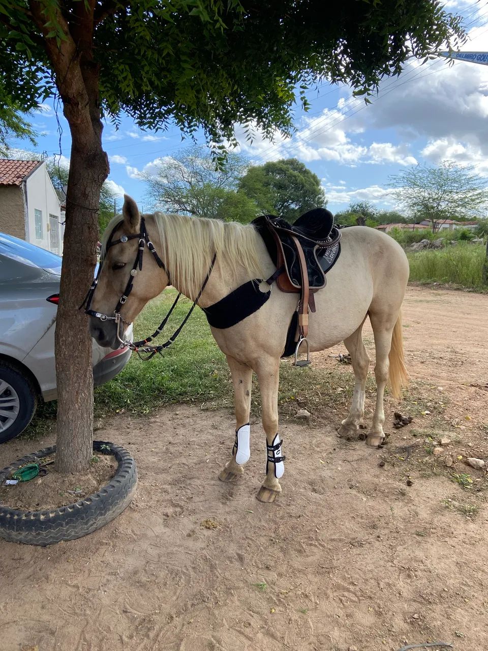 Égua à venda  - Foto 2
