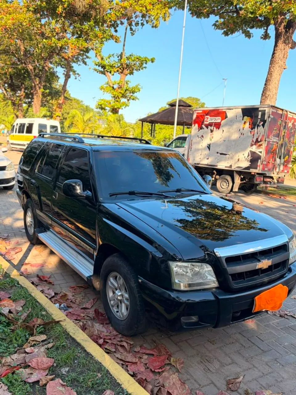 Chevrolet S10 Blazer DLX 2.8 4X4 TB Interc. Diesel 2001