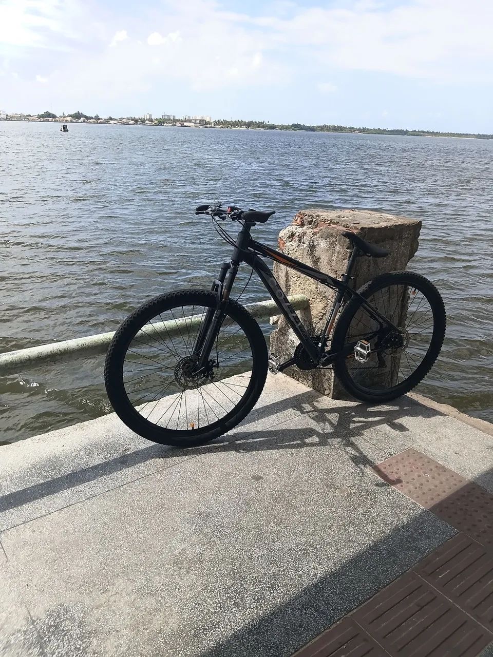 BIKE ARO 29