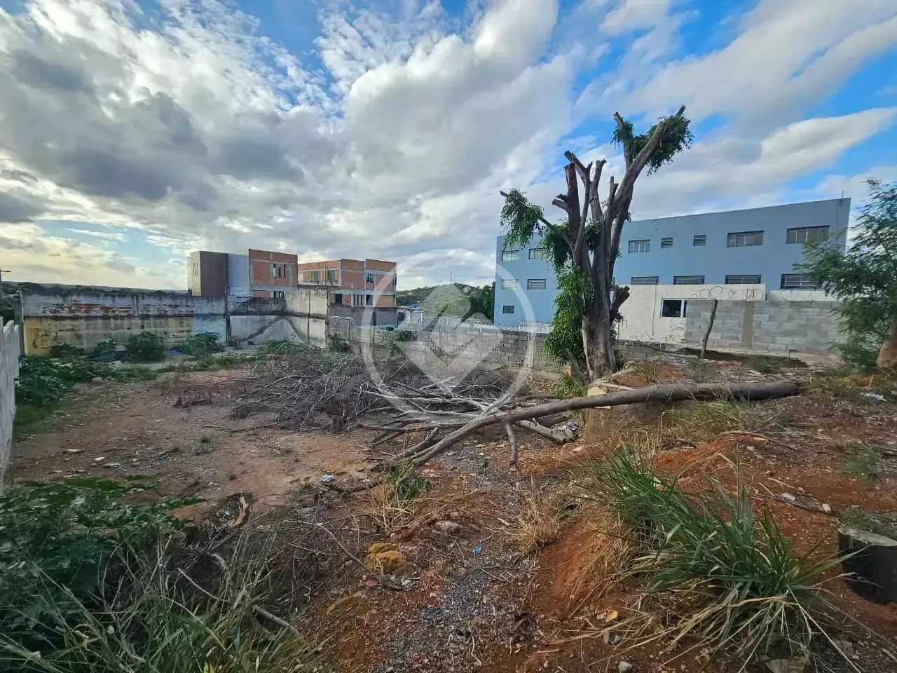 Lote Comercial Jardim Ipe codigo: 272070 - Foto 3