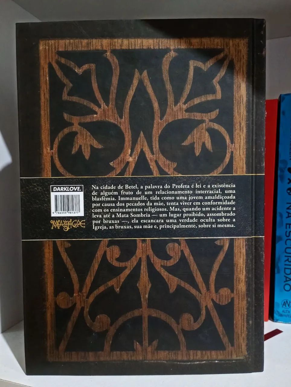 Livro o ano das bruxas  - Foto 2