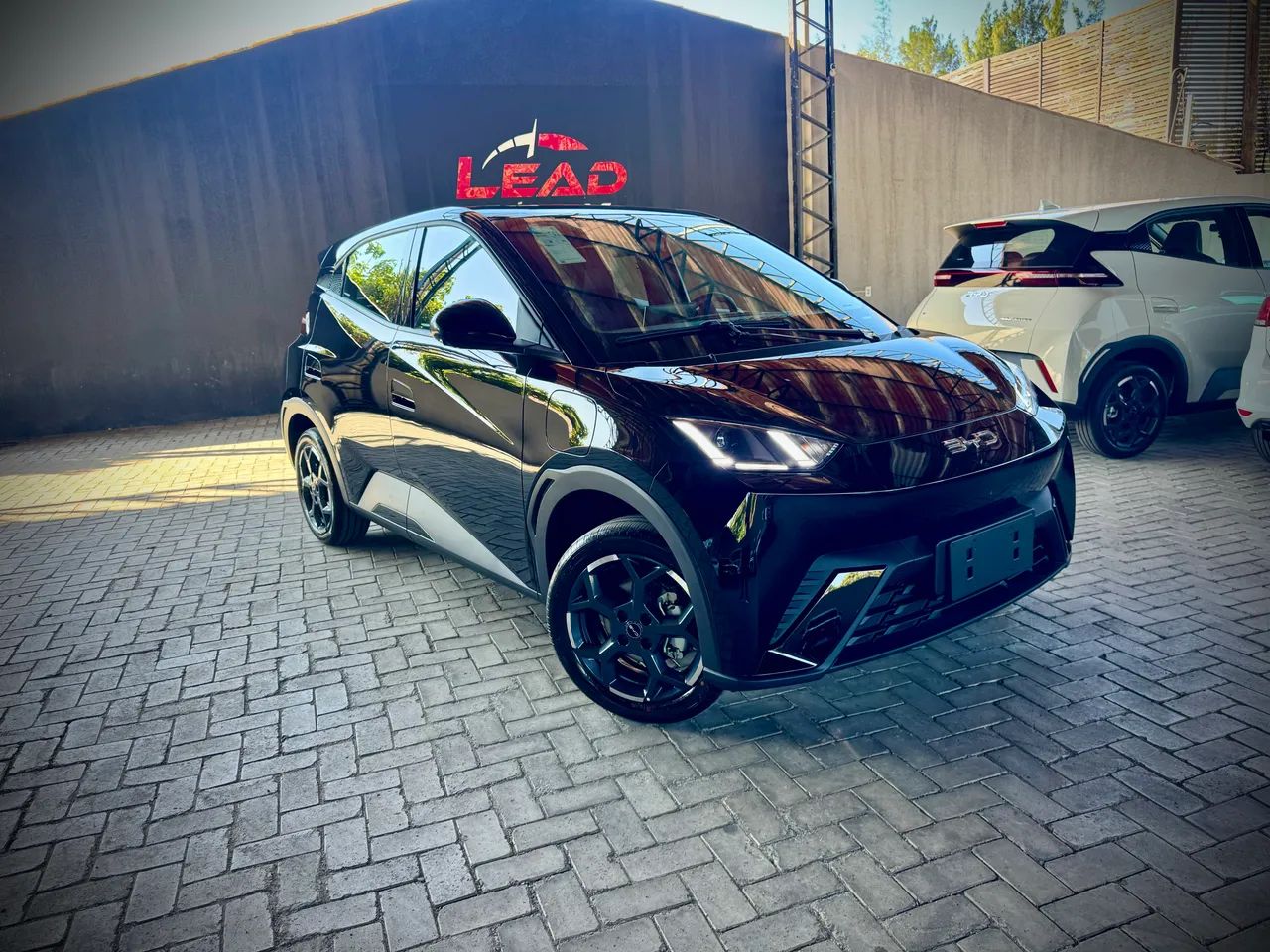BYD Dolphin Mini (Elétrico) 2027