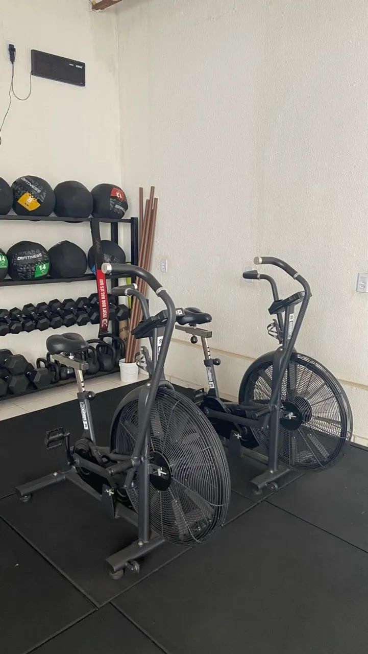 Echo Bike Classic