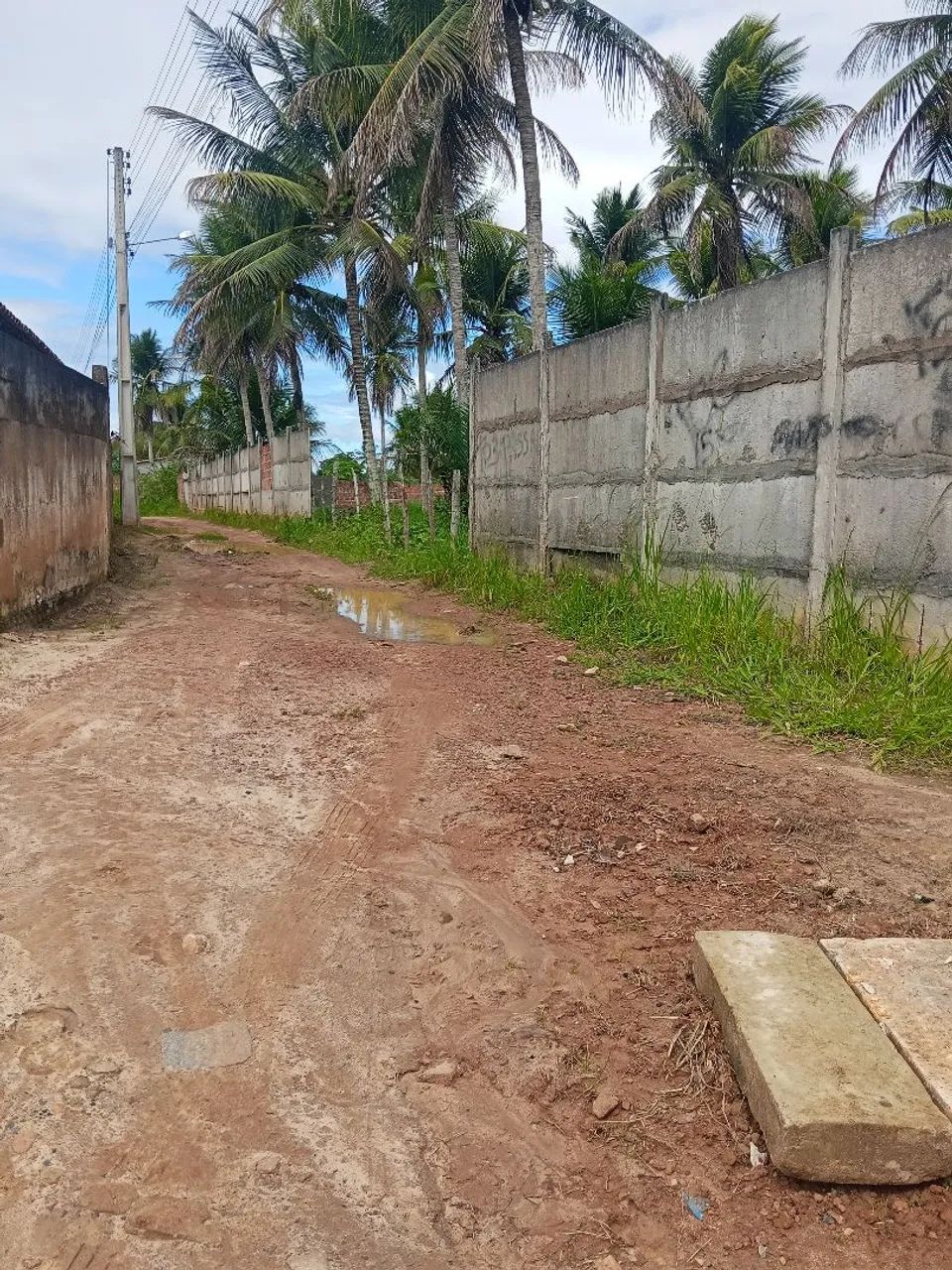 Sítio localizado no centro da cidade  - Foto 2