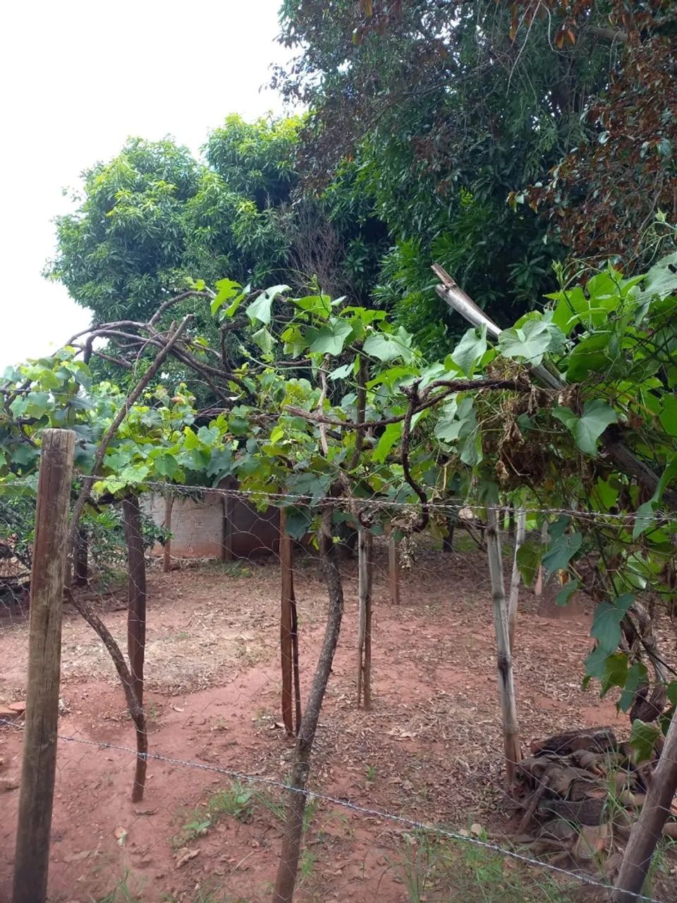 Casa no distrito de Martinesia - Foto 2