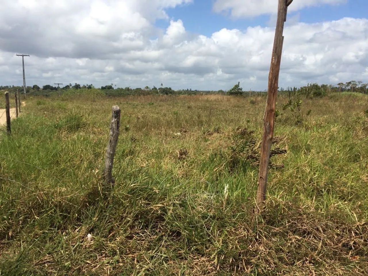   TERRENO entre rio BA - Foto 4